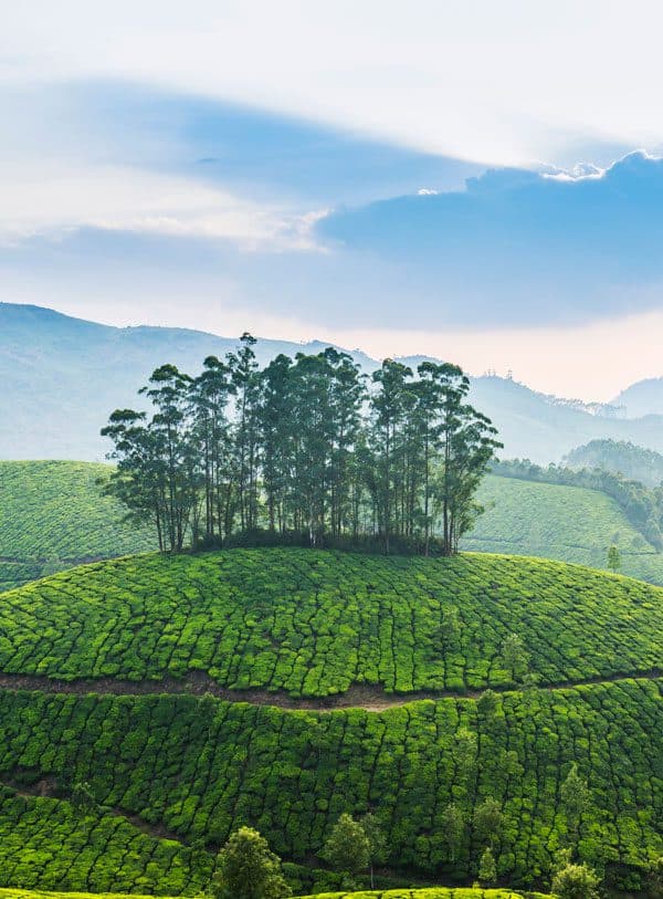 Kerala