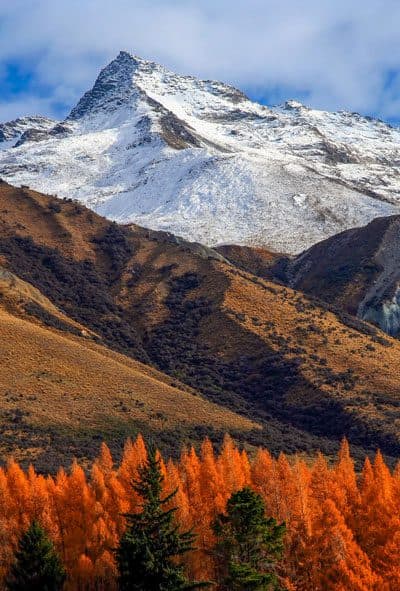 New Zealand