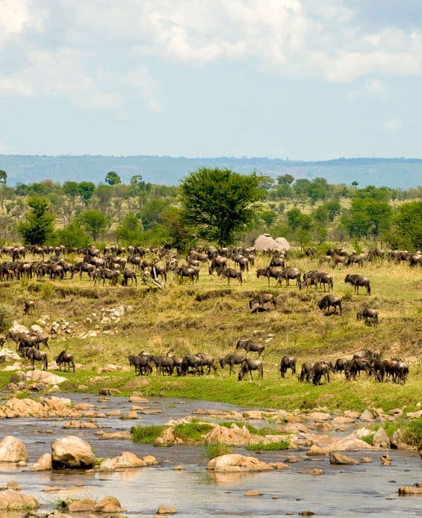 Serengeti National Park